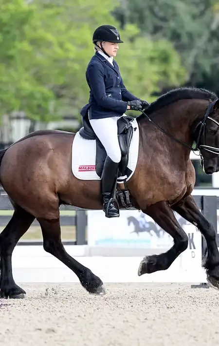 Angela Haloran-Smith, Horse Trainer